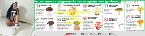 молекула духа Алзамай