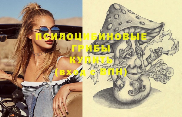 молекула духа Алзамай