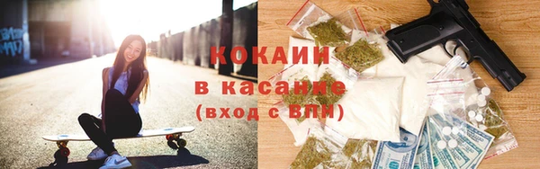 кокс Алексин