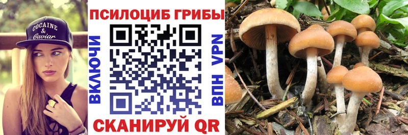 Галлюциногенные грибы Cubensis  blacksprut зеркало  Самара 